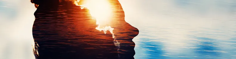 Graphic Novels in the Classroom: Revolutionizing Education