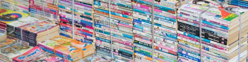 Hidden Gems: The Best International Graphic Novels You’ve Never Heard Of